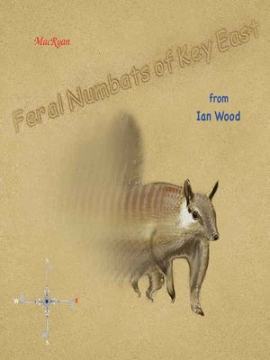 cover image of Feral Numbats of Key East